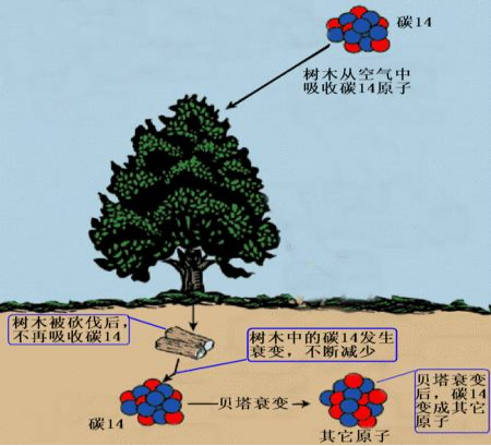 1690254278167903.png 640 (8).png