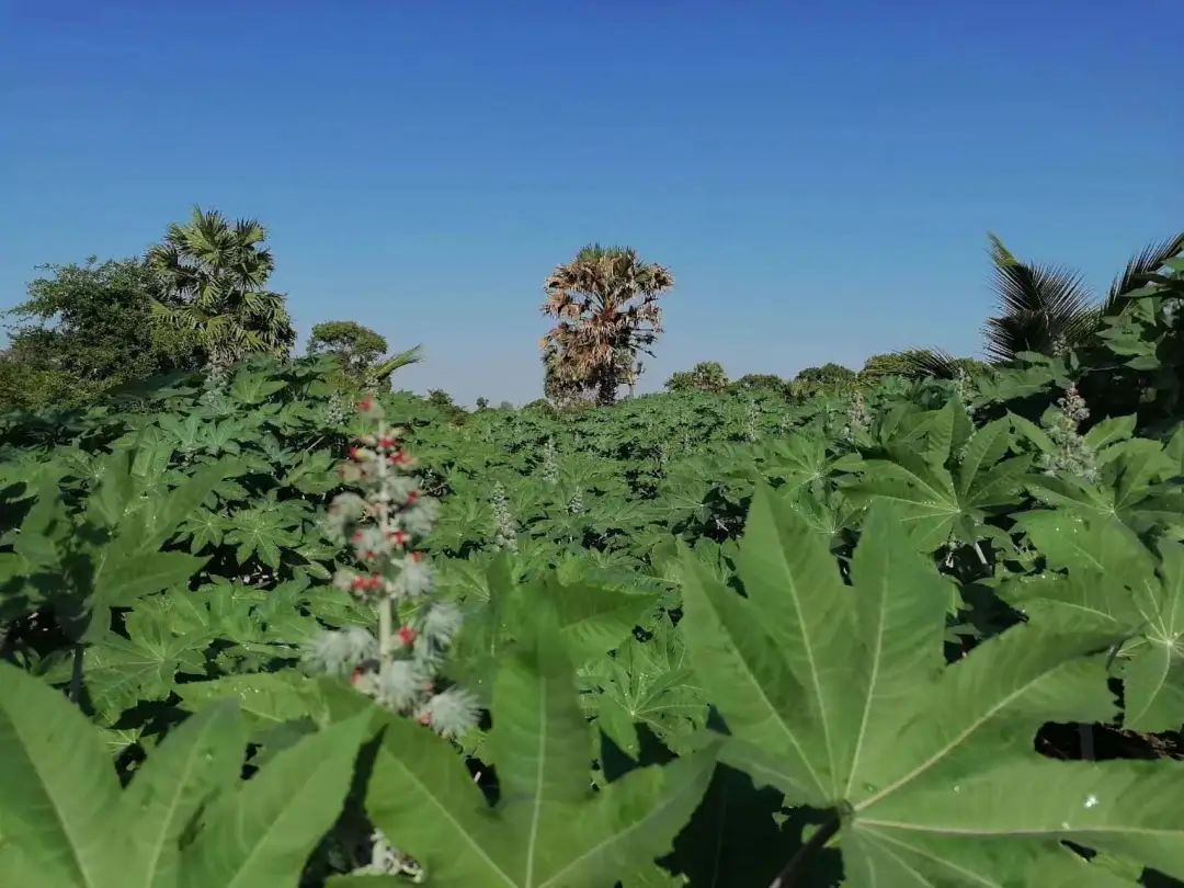 1694411286135488.jpg 微信圖片_20230911134733_1.jpg